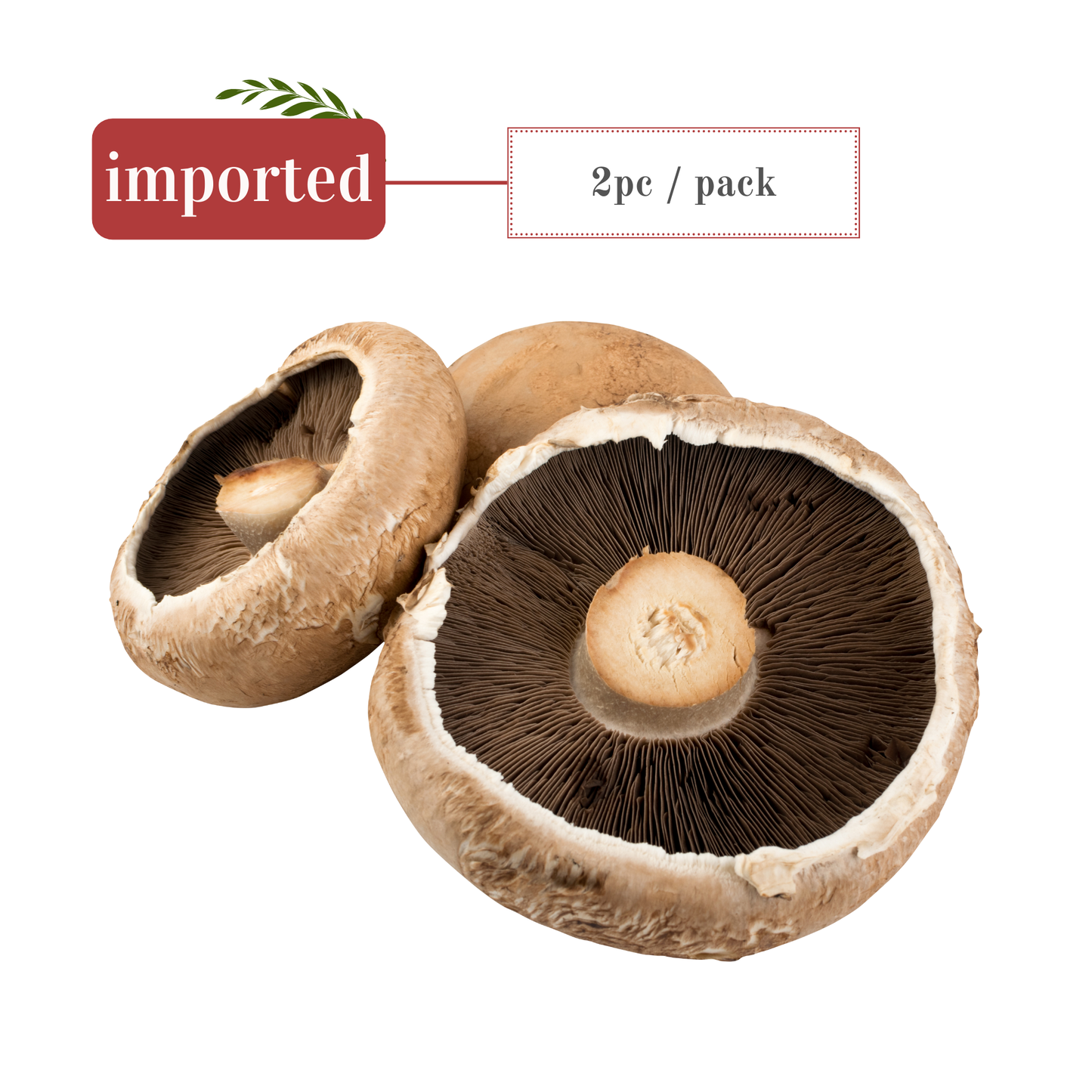 Mushrooms: Portobello