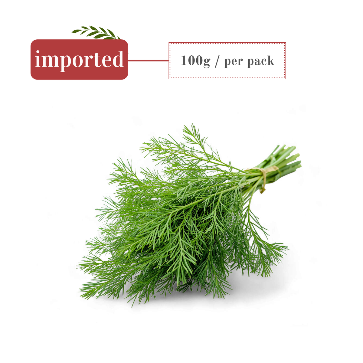 Herbs: Dill