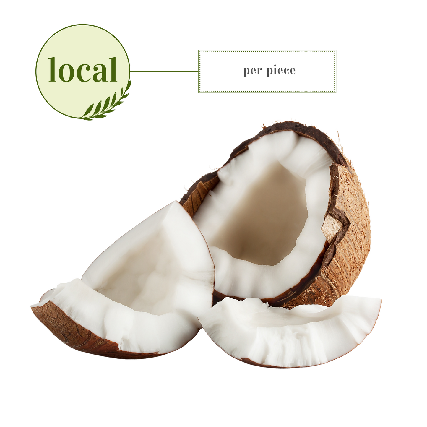 Coconut: Dry