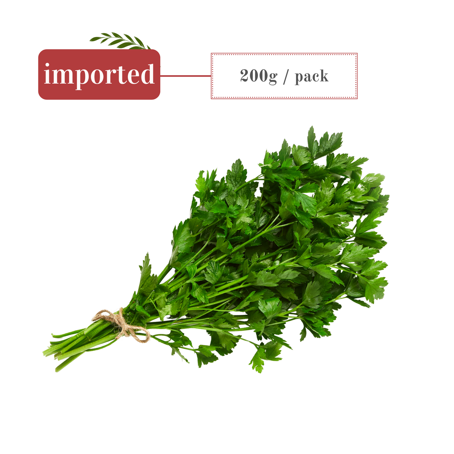 Curly Parsley