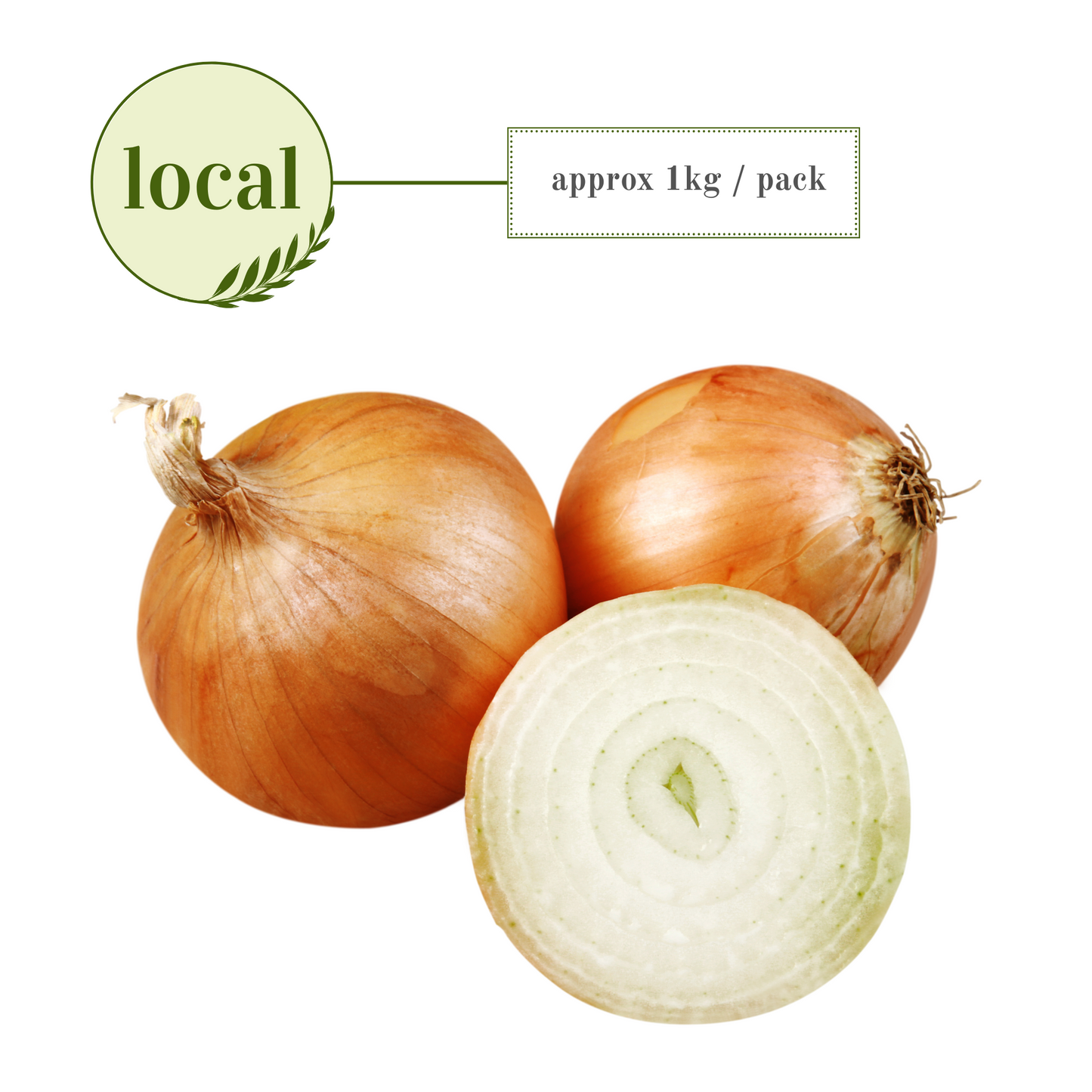Onion: White