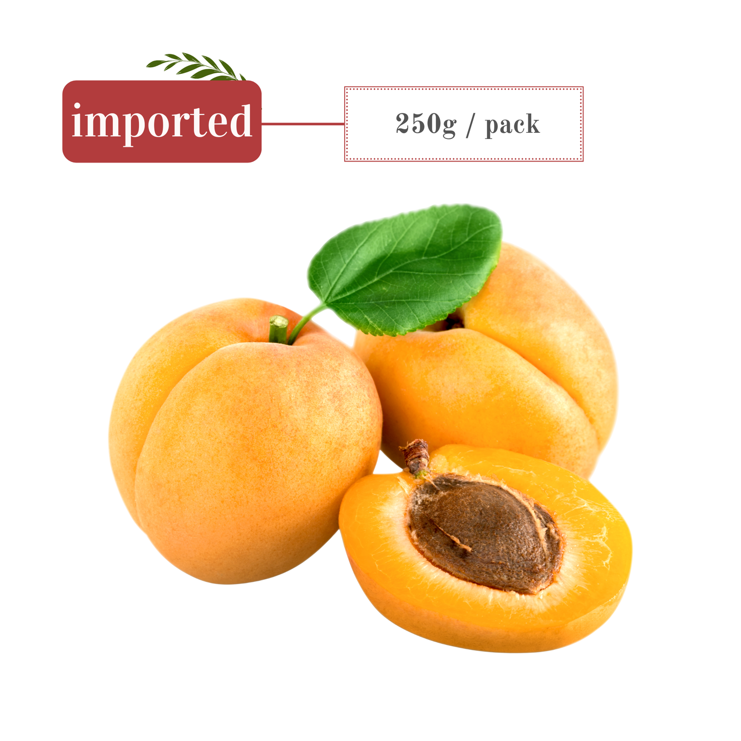 Apricots