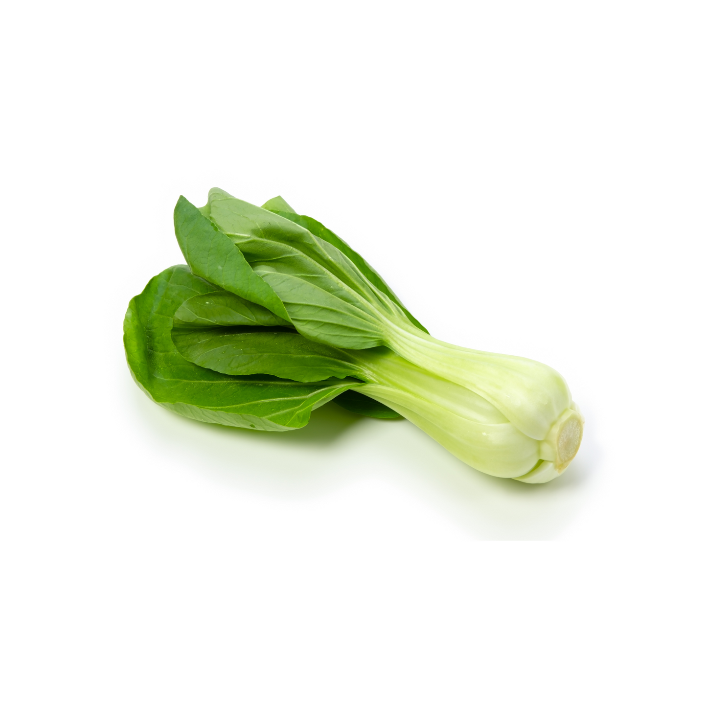 Bok Choy