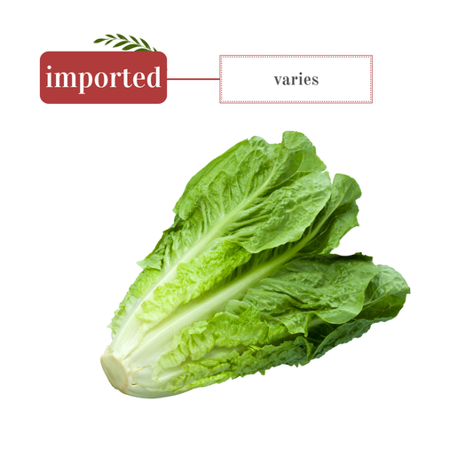 Romaine Lettuce