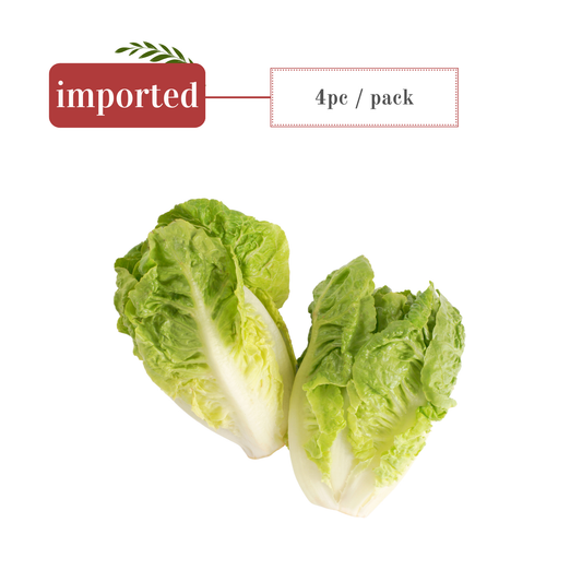 Little Gem Lettuce