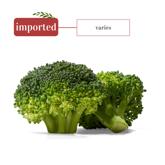 Broccoli