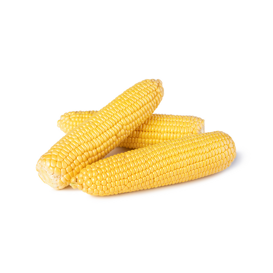 Sweet Corn