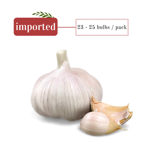 Garlic