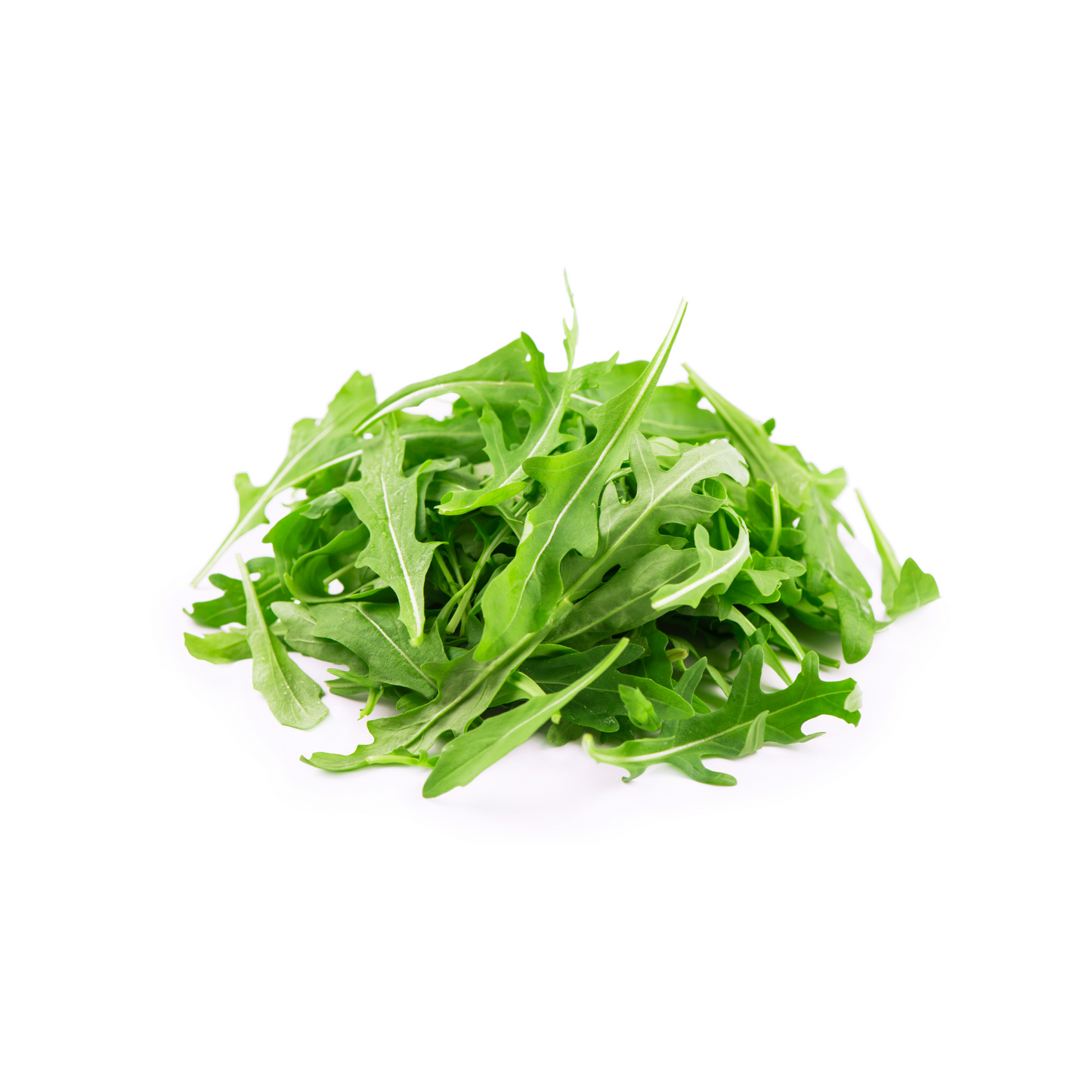 Arugula