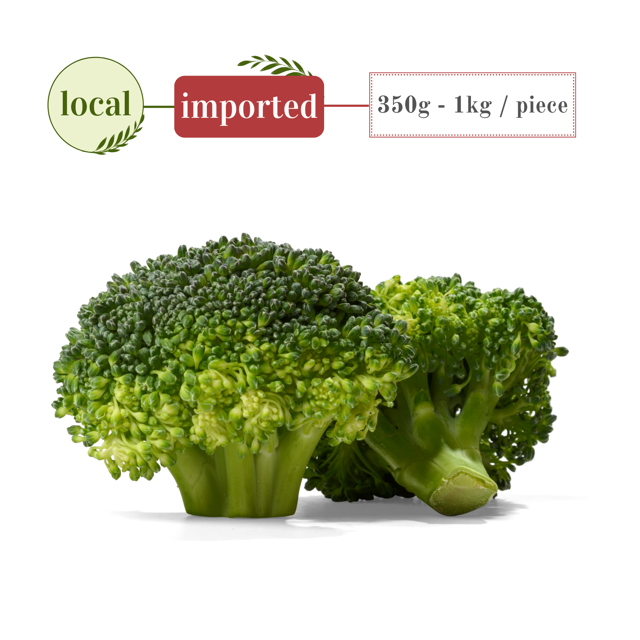 Fresh Broccoli – Nutritious Green Vegetable | Mint Foods