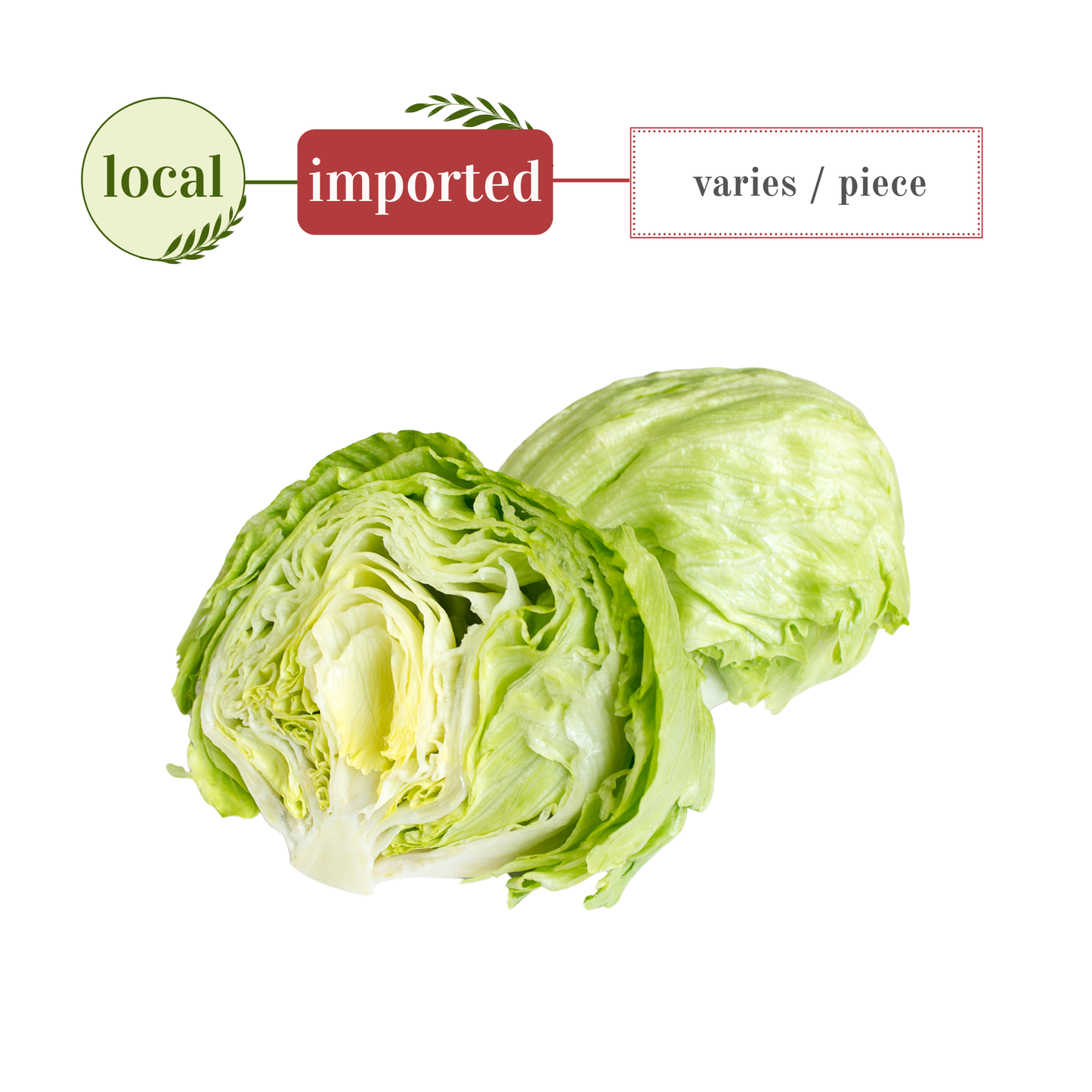 Iceberg Lettuce