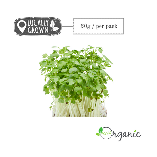 Microgreens: Rocket