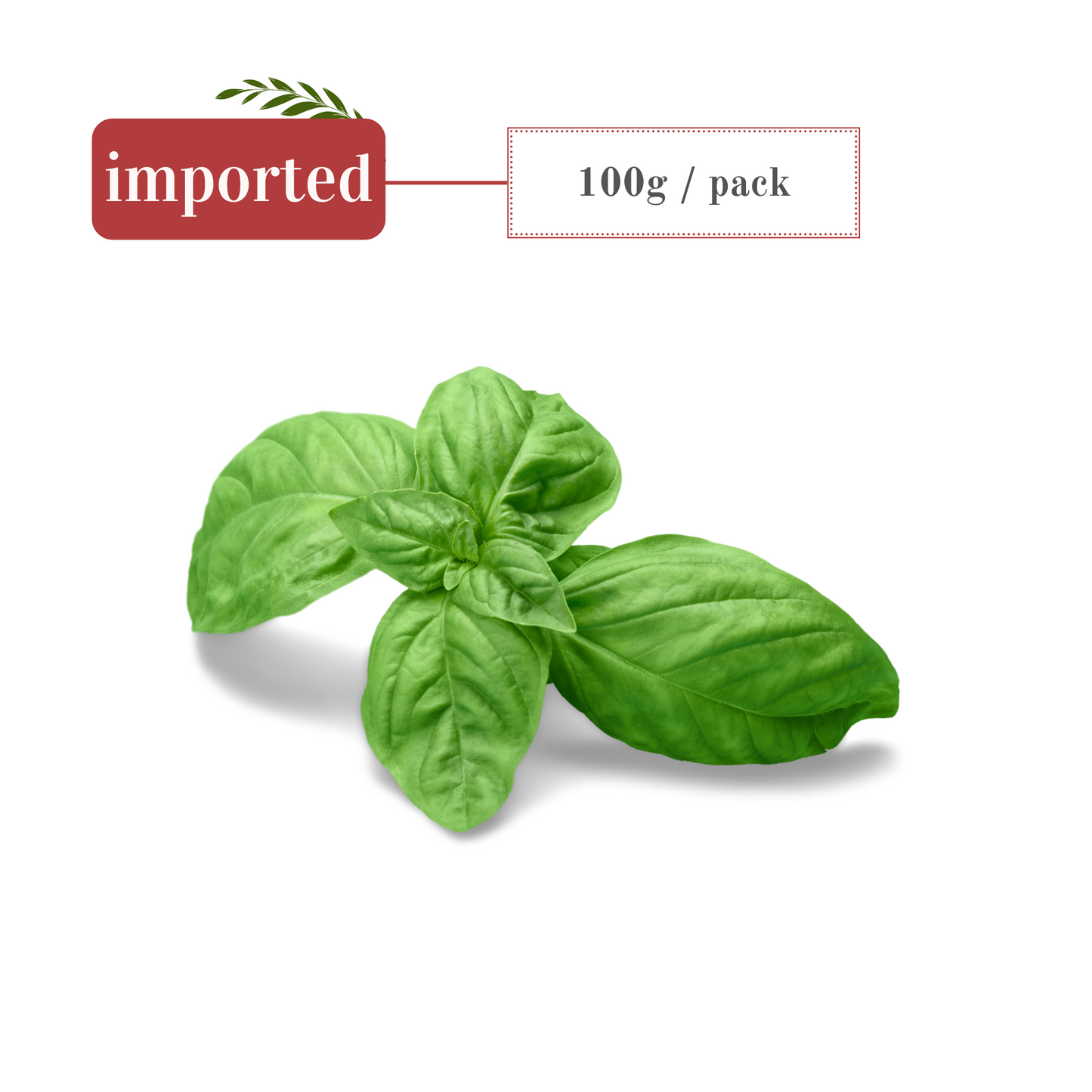 Italian Basil