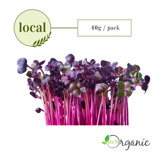 Microgreens: Radish