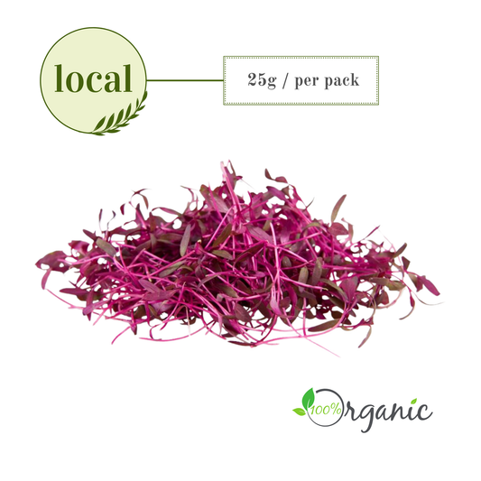 Microgreens: Ruby
