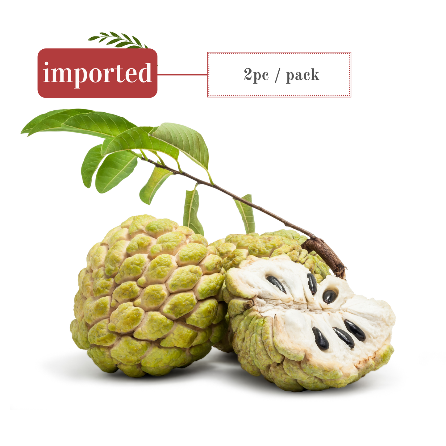 Custard Apple