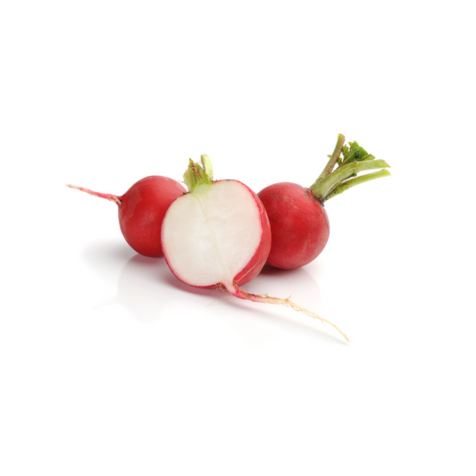 Radish