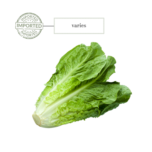 Romaine Lettuce