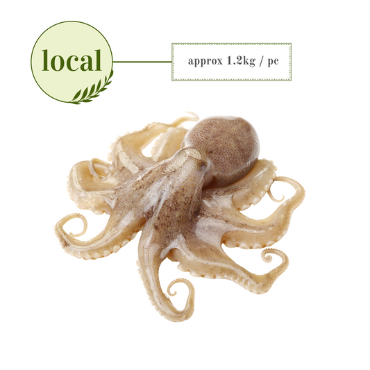 Frozen Seafood: Octopus Flower IQF